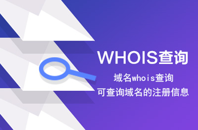 域名年龄查询,如何进行域名年龄查询方法